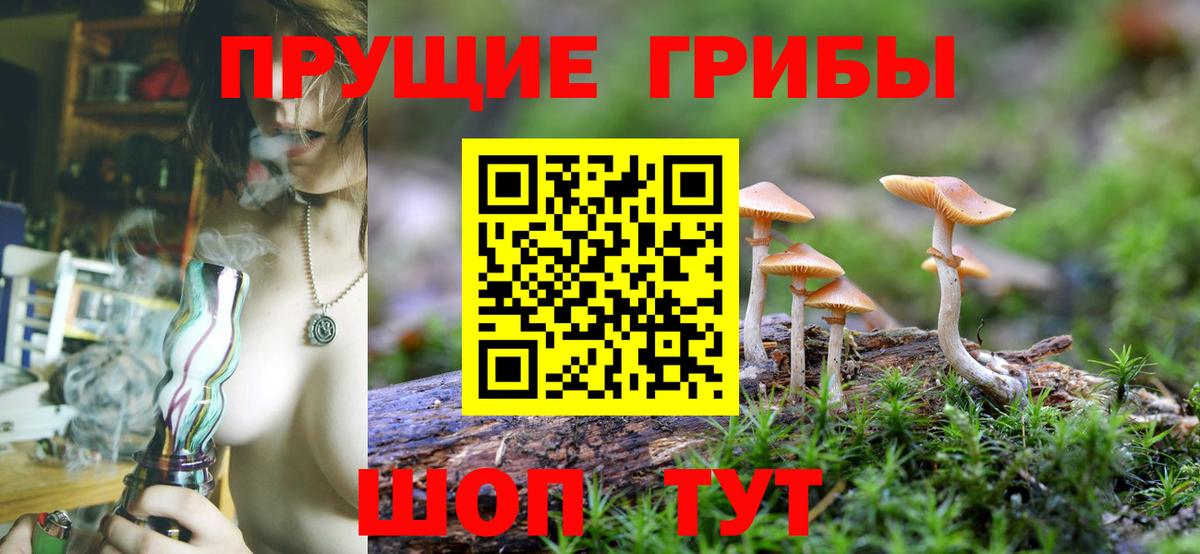 Псилоцибиновые грибы Magic Shrooms  закладка  Борисоглебск  Вход с VPN 